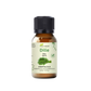 Huile essentielle d’aneth pour diffuseur et huile de massage