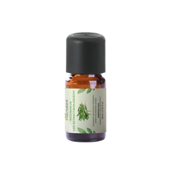 Rozemarijn CO2 Extract (Food Grade)