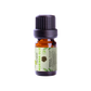 Sample Moringa olie (Koudgeperst) 5ml